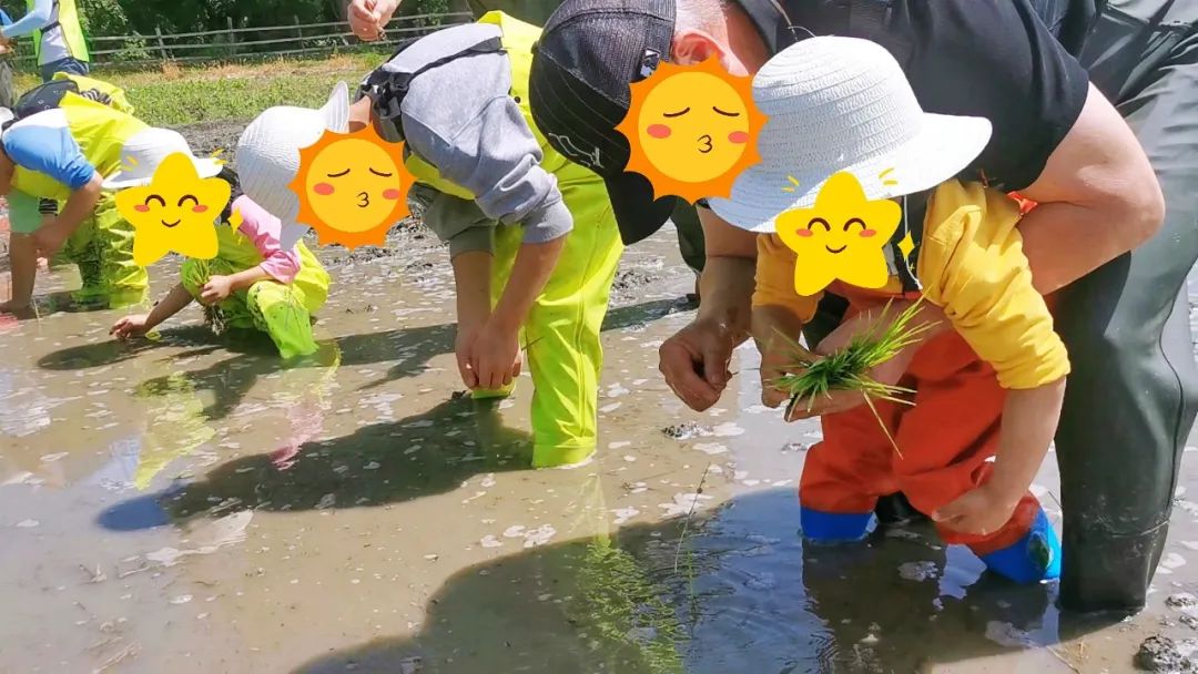 圖片宋體